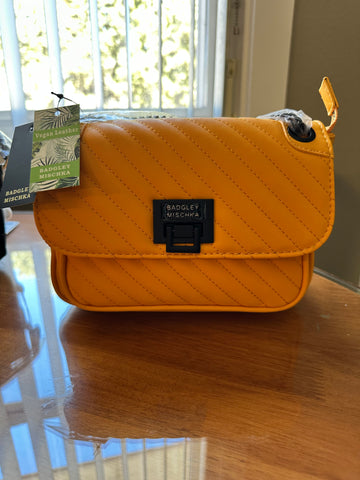 Badgley Mischka crossbody purse