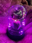 Real Money Roses